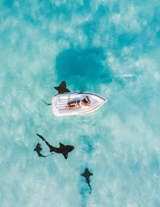 Flitterwochen auf den Bahamas