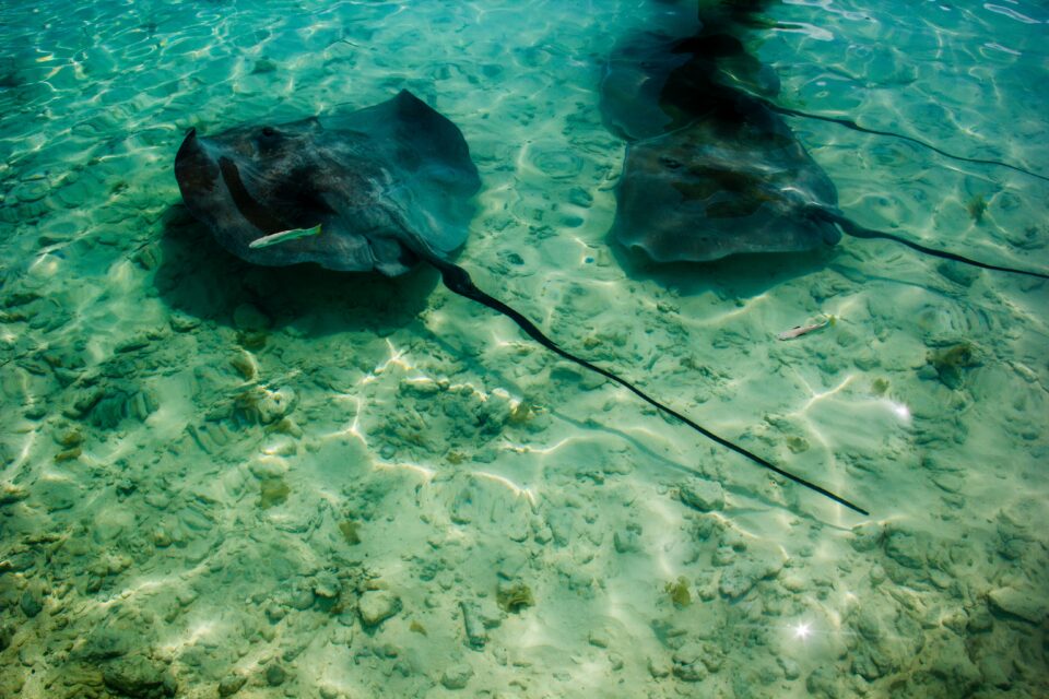 Flitterwochen auf Bora Bora