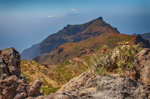Flitterwochen auf Teneriffa