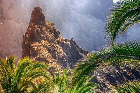 Flitterwochen auf Teneriffa
