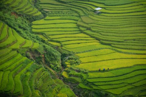 Flitterwochen in Vietnam