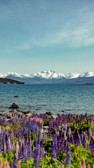 Flitterwochen in Neuseeland