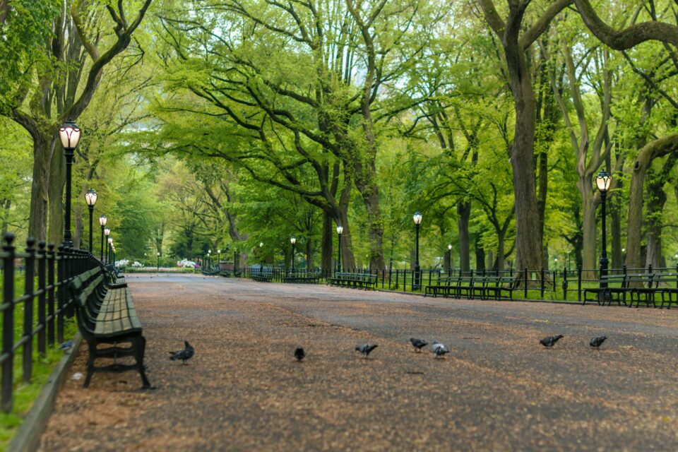 Flitterwochen in New York